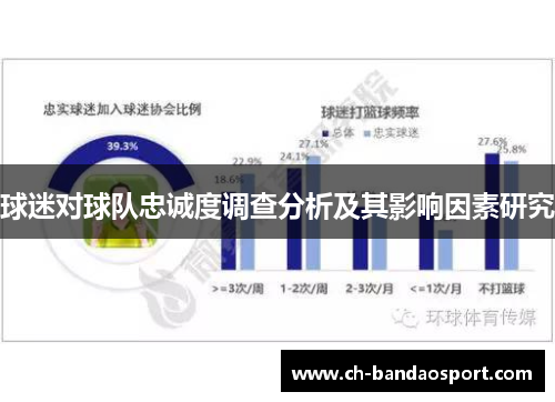 球迷对球队忠诚度调查分析及其影响因素研究