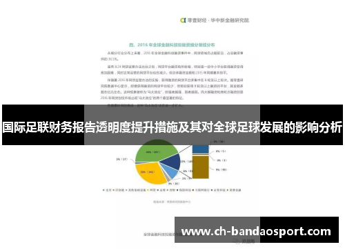 国际足联财务报告透明度提升措施及其对全球足球发展的影响分析