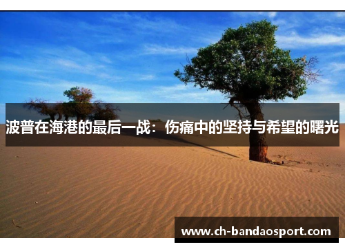 波普在海港的最后一战：伤痛中的坚持与希望的曙光