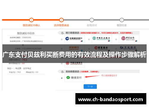广东支付贝兹利买断费用的有效流程及操作步骤解析