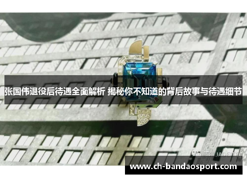 张国伟退役后待遇全面解析 揭秘你不知道的背后故事与待遇细节