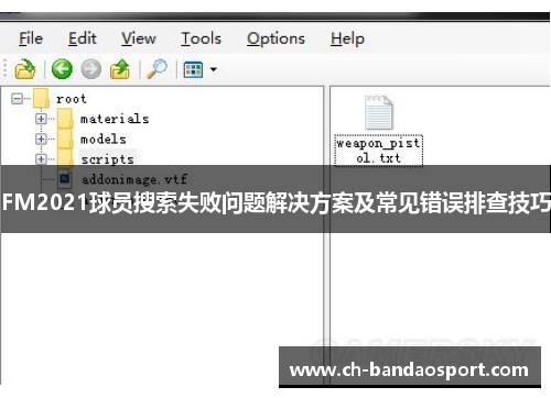 FM2021球员搜索失败问题解决方案及常见错误排查技巧