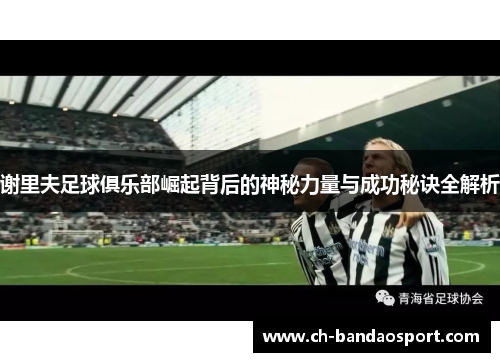 谢里夫足球俱乐部崛起背后的神秘力量与成功秘诀全解析