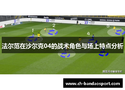 法尔范在沙尔克04的战术角色与场上特点分析