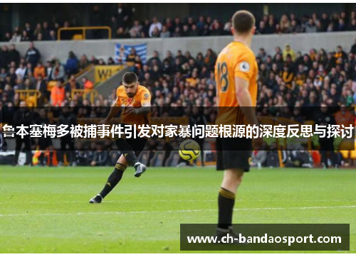 鲁本塞梅多被捕事件引发对家暴问题根源的深度反思与探讨