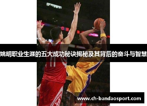 姚明职业生涯的五大成功秘诀揭秘及其背后的奋斗与智慧